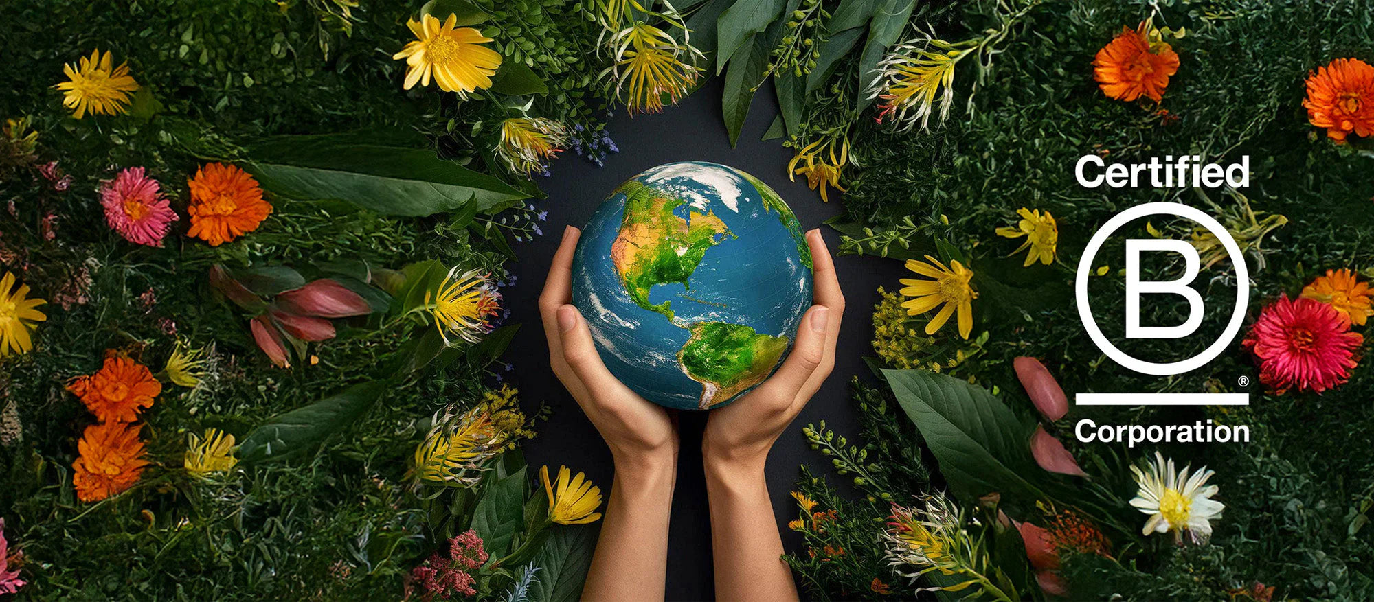 Van schoon huis tot schone planeet: BRAUZZ. is B Corp-gecertificeerd