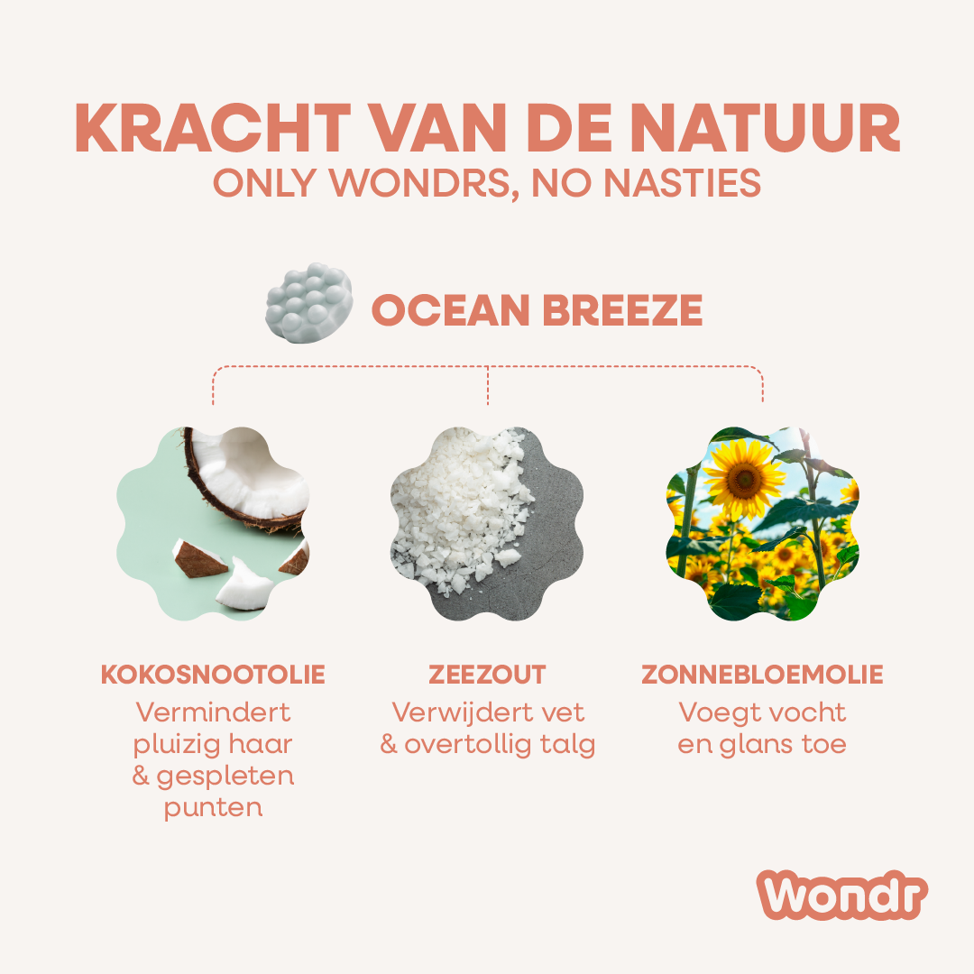 Brise Océane | Shampoing Solide
