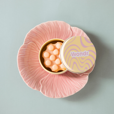 MINI WONDR BEWAAR- EN REISDOOSJE